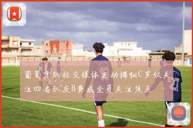 葡萄牙队社交媒体互动揭秘C罗仅关注四名队友B费成全员关注焦点
