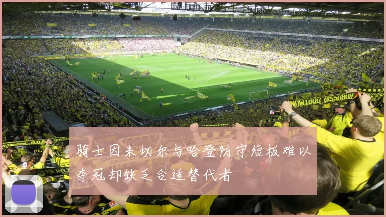 骑士因米切尔与哈登防守短板难以夺冠却缺乏合适替代者