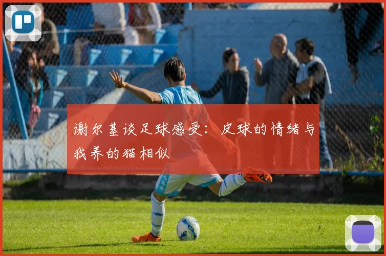 谢尔基谈足球感受：皮球的情绪与我养的猫相似